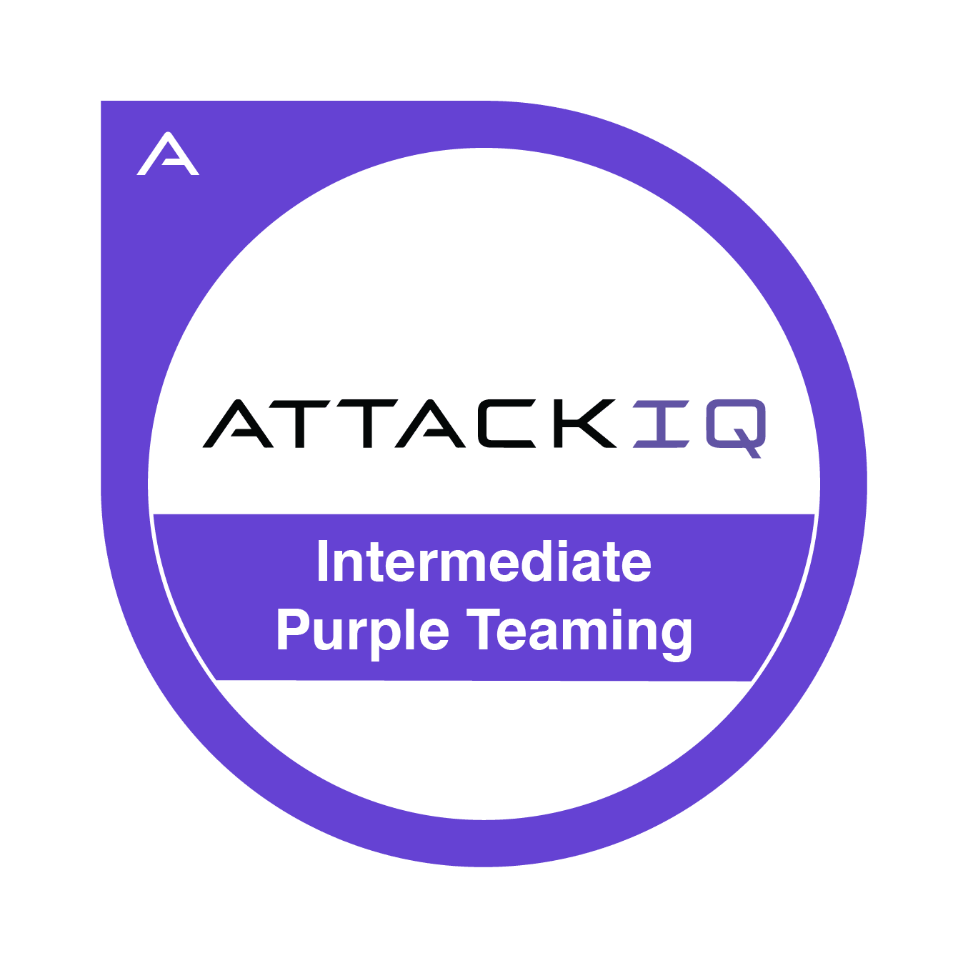 Intermediate Purple Teaming