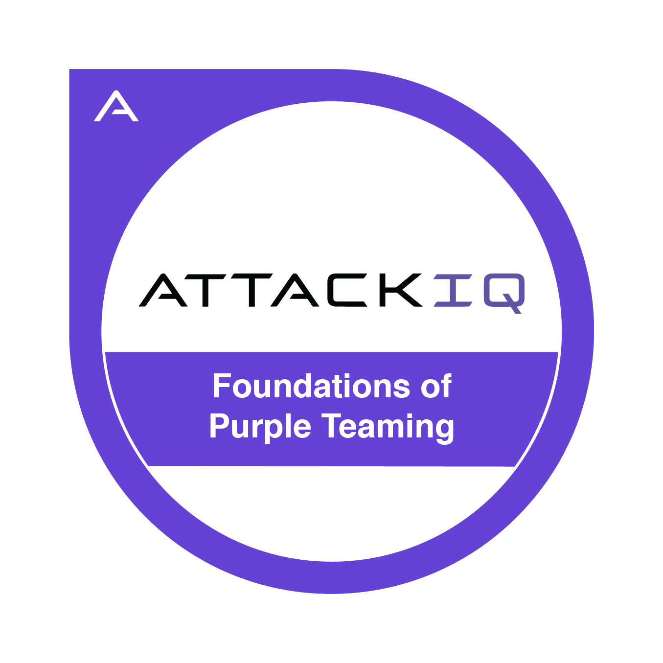 Foundations of Purple Teaming